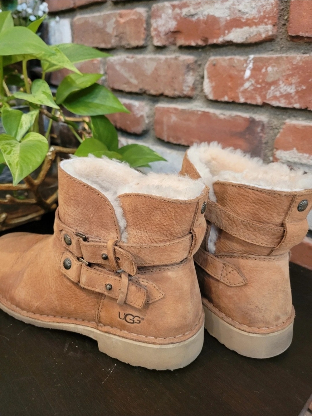UGG Chestnut Shearling Short Boot - Picture 3 of 8